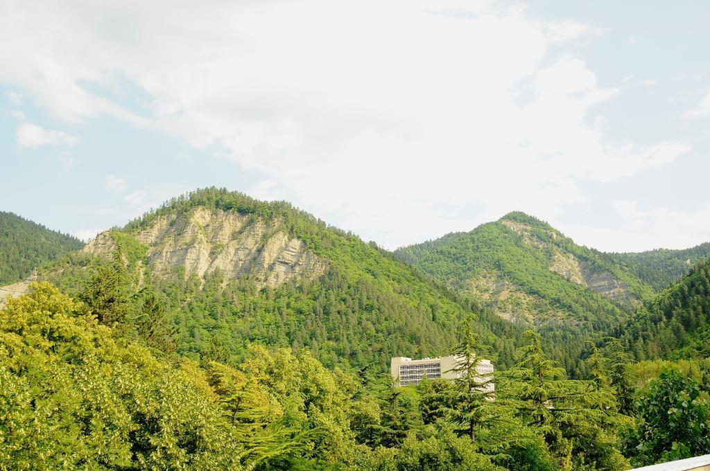 Alma-Ata Hotel Borjomi ภายนอก รูปภาพ